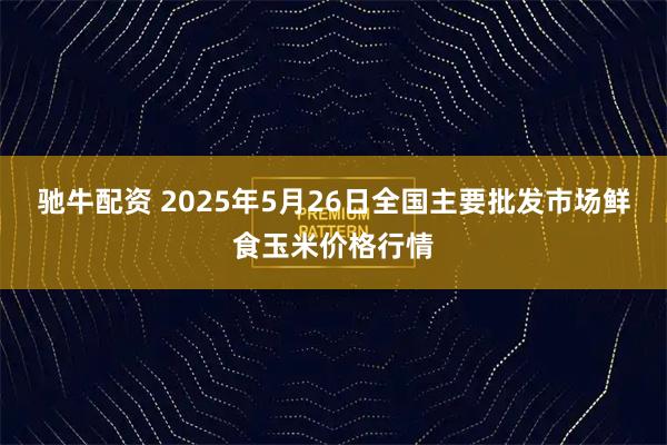 驰牛配资 2025年5月26日全国主要批发市场鲜食玉米价格行情