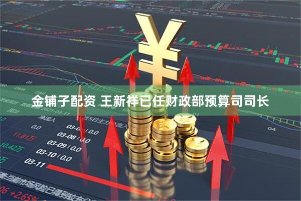 金铺子配资 王新祥已任财政部预算司司长