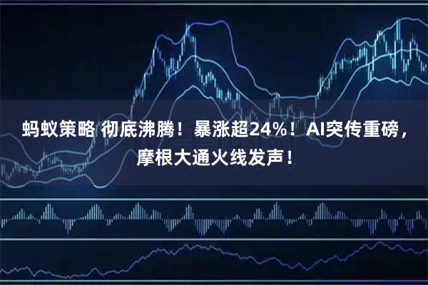 蚂蚁策略 彻底沸腾！暴涨超24%！AI突传重磅，摩根大通火线发声！