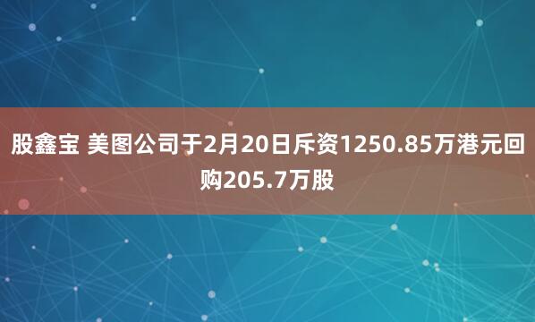 股鑫宝 美图公司于2月20日斥资1250.85万港元回购205.7万股