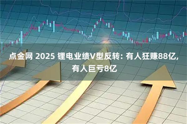 点金网 2025 锂电业绩V型反转: 有人狂赚88亿, 有人巨亏8亿